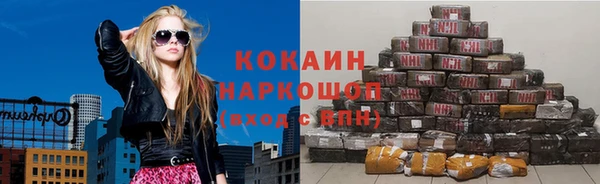гашик Снежногорск