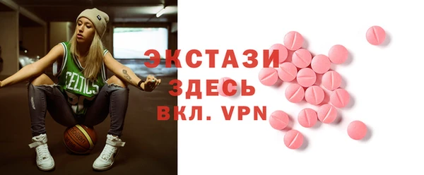 гашик Снежногорск