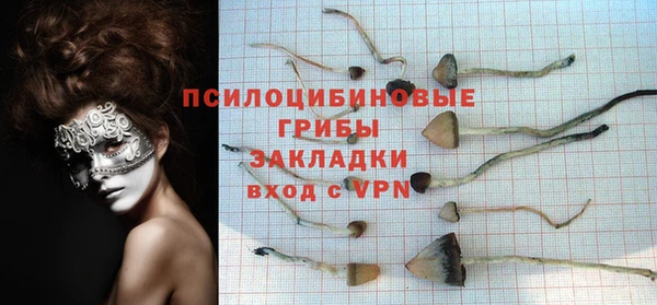 марки lsd Снежинск