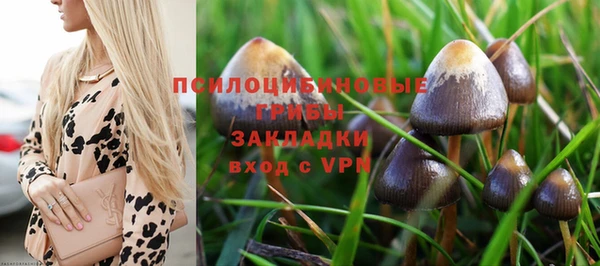 марки lsd Снежинск