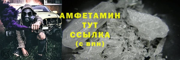 гашик Снежногорск