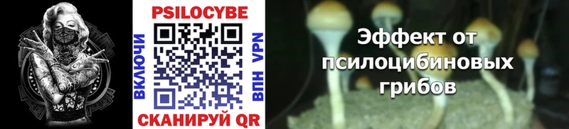 Псилоцибиновые грибы Psilocybe  Нижнекамск 