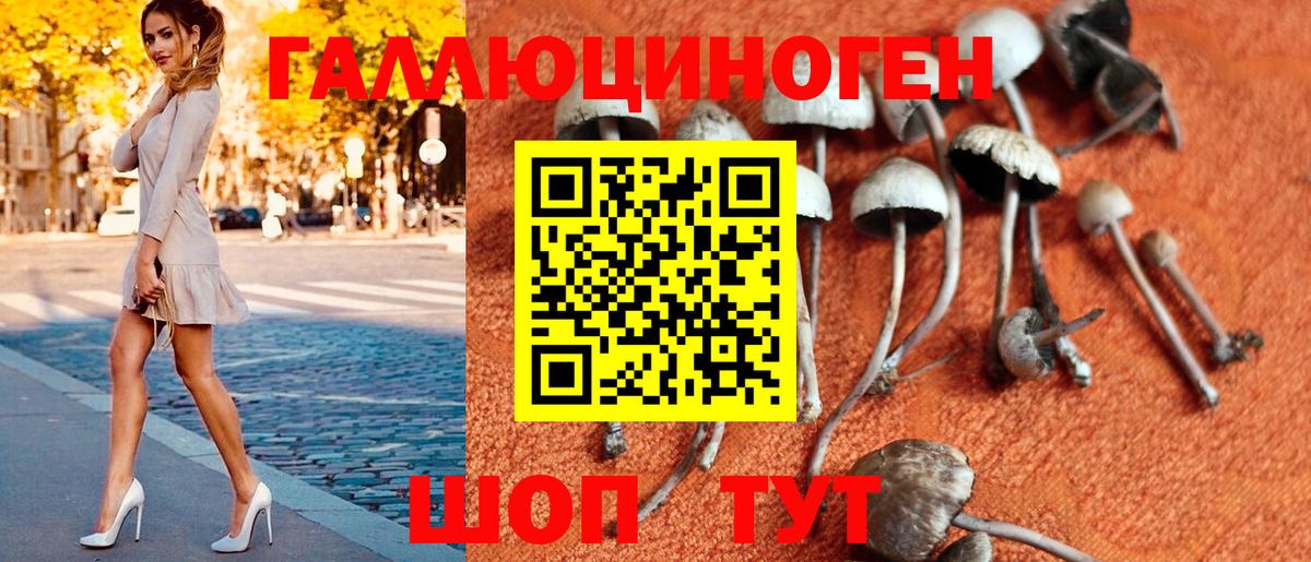Галлюциногенные грибы мухоморы  Галлюциногенные грибы мицелий  Нижнекамск 